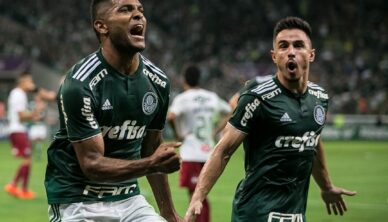 Parana Clube vs Palmeiras Football Tips